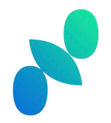 Noosi Logo